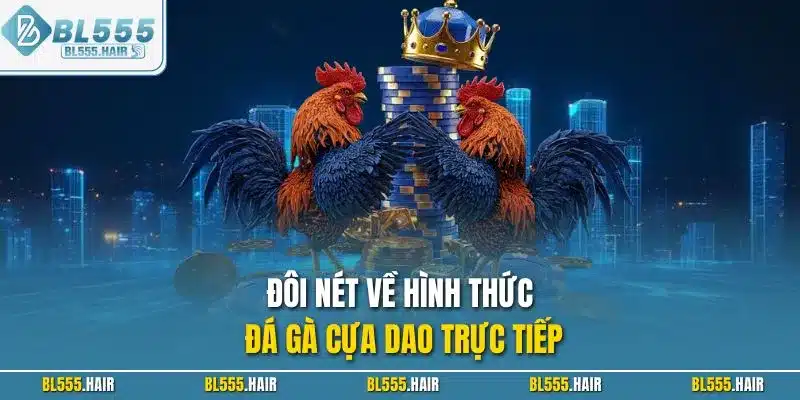 Đôi nét về hình thức đá gà cựa dao trực tiếp