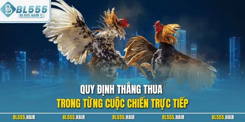 Quy định thắng thua trong từng cuộc chiến trực tiếp